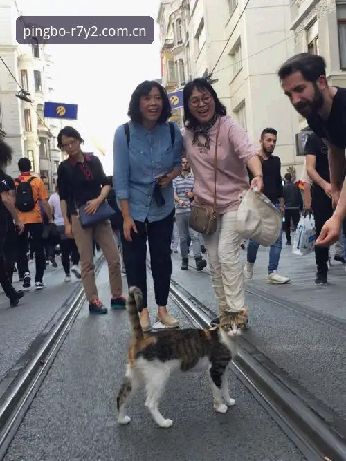 平博互动福利活动 世界杯观赛vs签证困局:约旦土耳其球迷的赴美之旅与平博体育的赛事视角